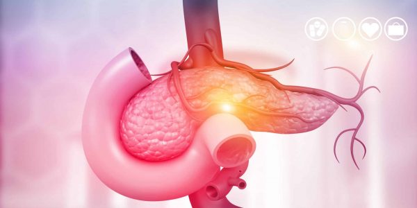 Anatomy,Of,Pancreas.,3d,Illustration